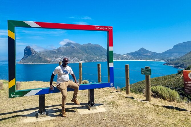 Cape Point, Penguins & Wine Tasting In Constantia Full Day Tour - Constantia Wine Tasting