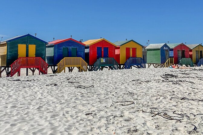 Cape Point, Penguins & Wine Tasting In Constantia Full Day Tour - The Sum Up