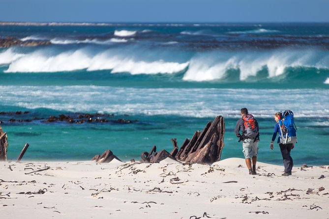 Cape Point Private Nature Tour & Hike - Common Questions