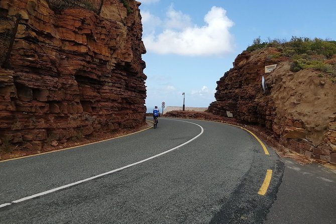 Cape Point Private Tour Withtable Mountain and Penguin Colony - Penguin Colony Experience