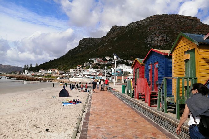 Cape Point Private Tour Withtable Mountain and Penguin Colony - Tour Pricing and Booking Details