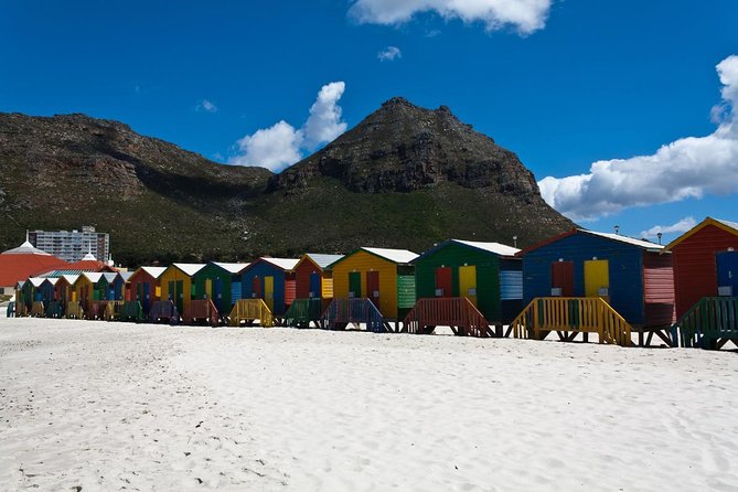 Cape Point Sightseeing Tour Including Penguins at Boulders Beach From Cape Town - Cape Point: Table Mountain National Park
