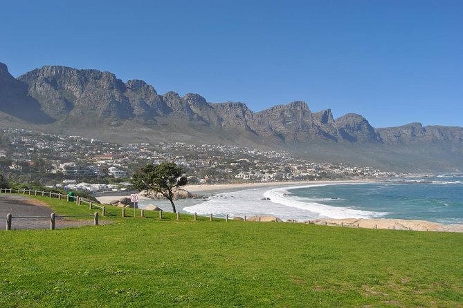 Cape Point Sightseeing Tour Including Penguins at Boulders Beach From Cape Town - Spectacular Views From Cape of Good Hope