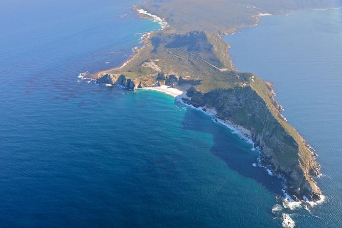 Cape Point Sightseeing Tour Including Penguins at Boulders Beach From Cape Town - Knowledgeable and Friendly Driver/Guide