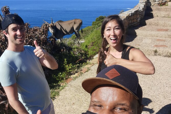 Cape Point Xplorer - Safety Precautions for Cape Point Xplorer