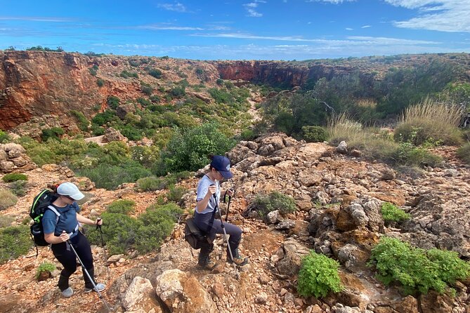 Cape Range National Park Full-Day Trekking Adventure - Questions and Pricing for the Trekking Adventure
