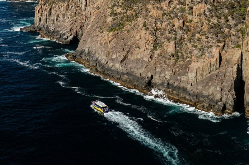 Cape Raoul Cruise - Wildlife is never on a timetable