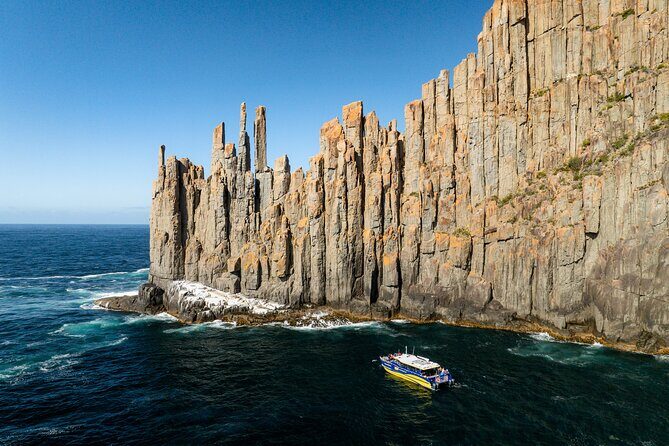 Cape Raoul Cruises Day Tour from Hobart - Good To Know