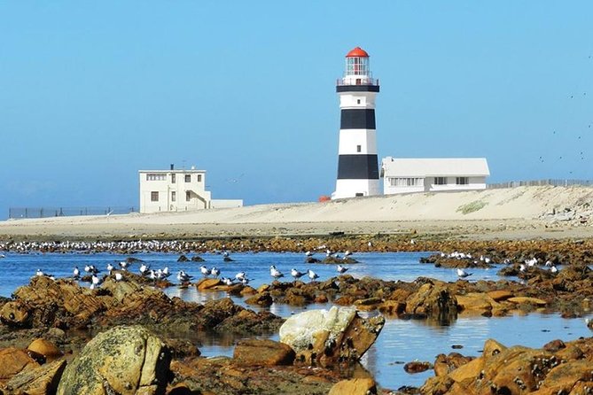Cape Recife, Lighthouse and 4x4 Grysbok Reserve - HD14 - Scenic Views From Cape Recife