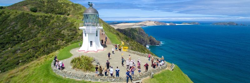 Cape Reinga and Ninety Mile Beach Full Day Tour - The long road north is part of the experience