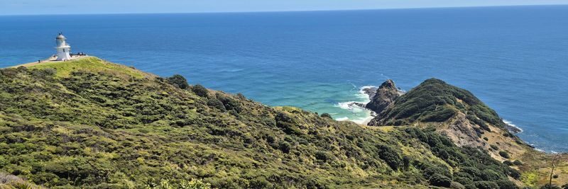 Cape Reinga and Ninety Mile Beach Full Day Tour - Sandboarding adds a welcome burst of action