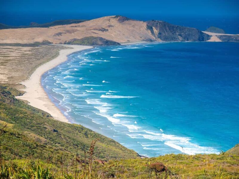 Cape Reinga: Day Trip from Paihia, Kerikeri, or Kaitaia - Good To Know