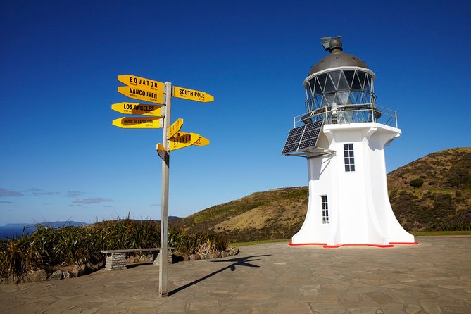 Cape Reinga Half-Day Tour Including Scenic Flight - Traveler Reviews