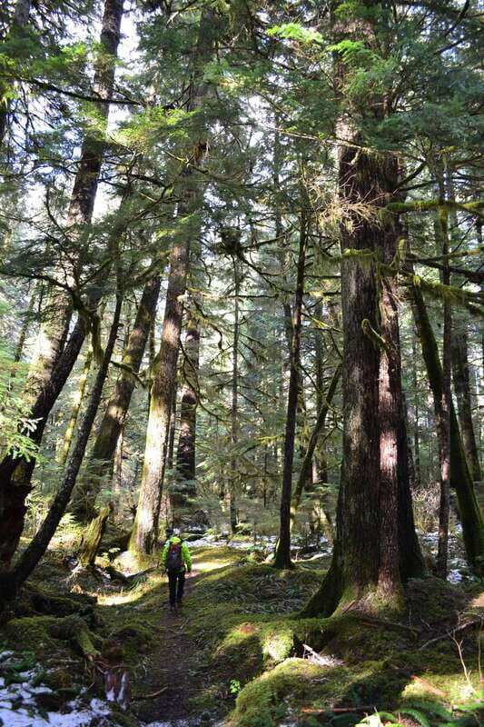 Cape Scott: San Josef Bay Day Hike with Scenic Drive - Good To Know