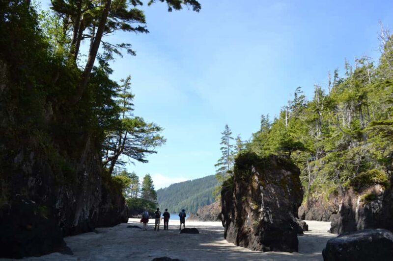Cape Scott: San Josef Bay Day Hike with Scenic Drive - The Itinerary Breakdown: What You Can Expect