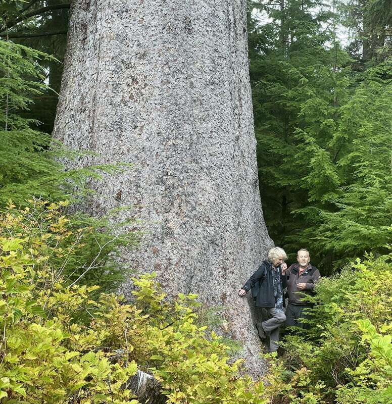 Cape Scott: San Josef Bay Day Hike with Scenic Drive - The Experience of a Lifetime for Nature Lovers