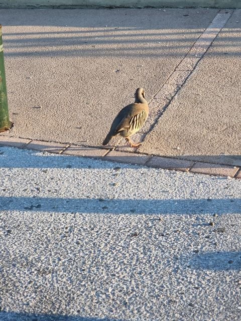 Cape Sounio Private Tour - Good To Know