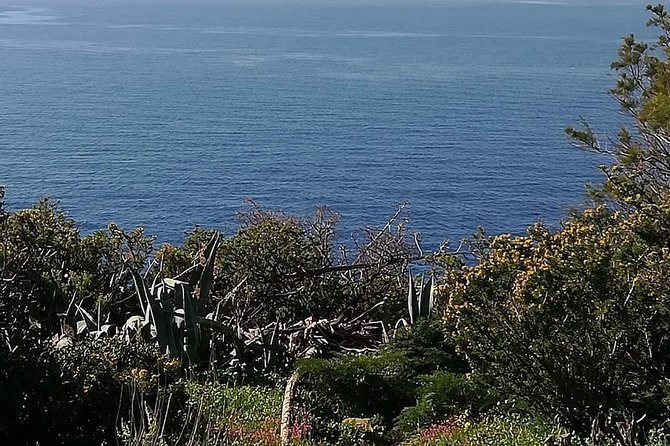 Cape Sounion and Temple of Poseidon Half Day Private Tour - Directions to Cape Sounion