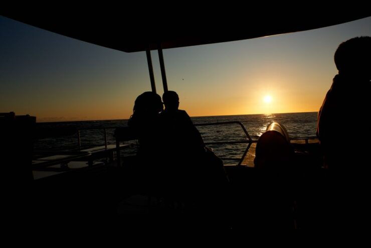 Cape Town: 1.5-Hour Luxury Sunset Cruise With Prosecco - Good To Know