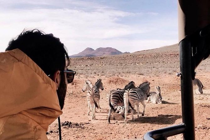 Cape Town: 1-Day Big 5 Game Drive Safari - Pricing and Availability