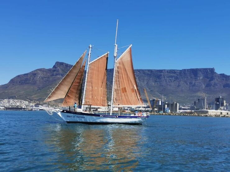 Cape Town: 1 Hour Table Bay Sailing Tour - Good To Know