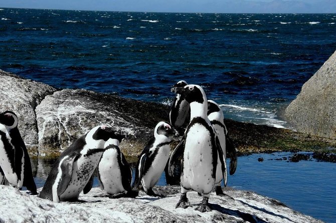 Cape Town 3-Day Attraction Tours: Paragliding, Cape Peninsula & Wine Tasting - General Information