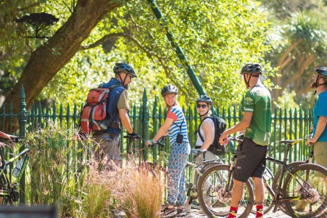 Cape Town: 3-Hour Bike Tour - Additional Information on What to Bring