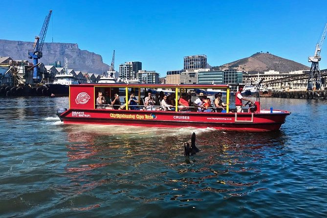 Cape Town 30-minute V&A Harbour Cruise - Highlights Covered During the Cruise