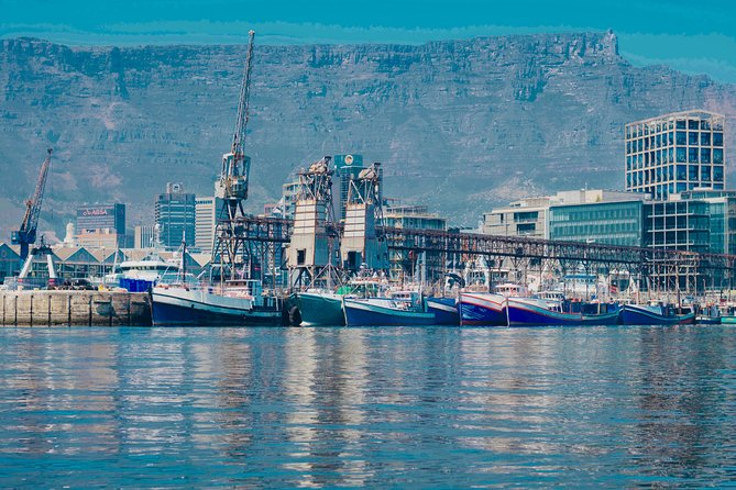 Cape Town 30-minute V&A Harbour Cruise - Reviews and Ratings From Viator and Tripadvisor
