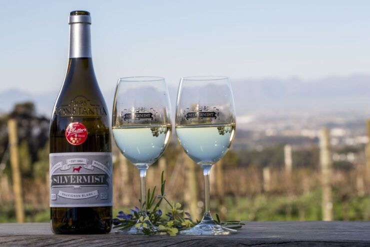 Cape Town: African Drum Show & Wine Tasting at Silvermist - Good To Know