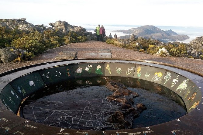 Cape Town Airport Transfer Service -C.A.T.S ...Covert19 Compliant Transport - Service Overview