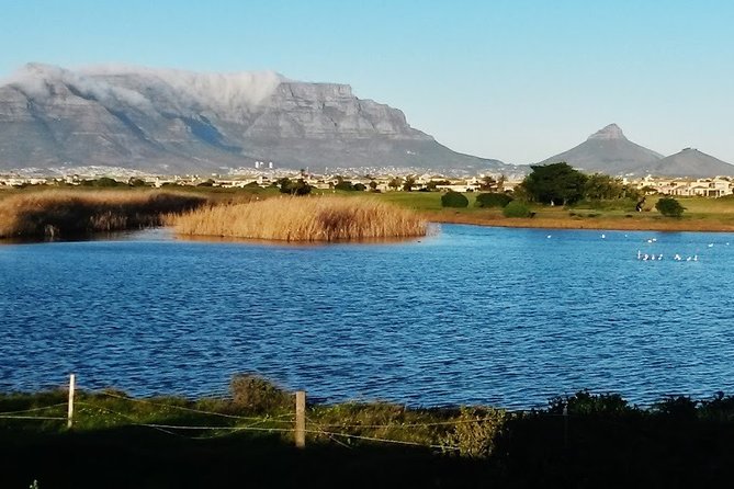 Cape Town Airport Transfer Service -C.A.T.S ...Covert19 Compliant Transport - Safety Measures Implemented