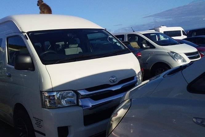 Cape Town Airport Transfers to All Hotels and Return Transfers - Meeting and Pickup Details