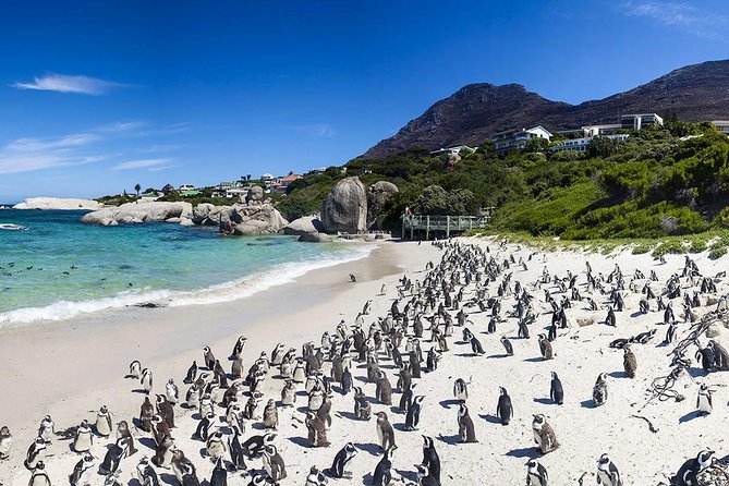 Cape Town , Aquila Safari Game Reserve Overnight Tour - Tour Highlights