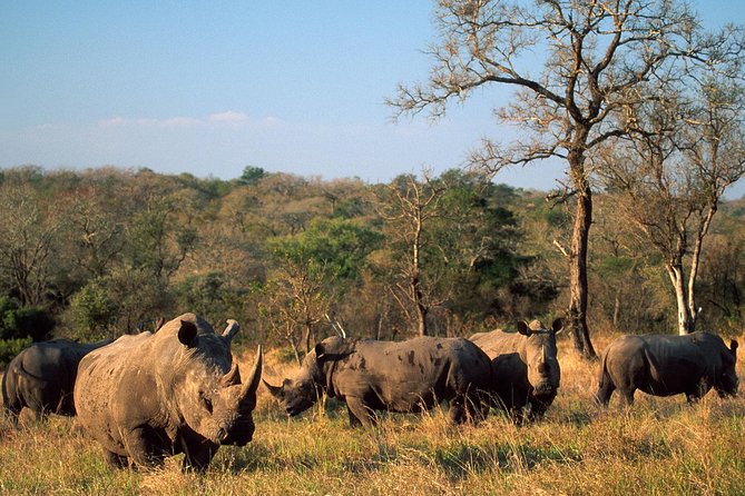 Cape Town , Aquila Safari Game Reserve Overnight Tour - Tour Duration