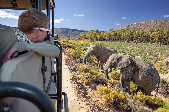 Cape Town Best of Aquila Safari Full Day Tour With Transport - Inclusions and Exclusions