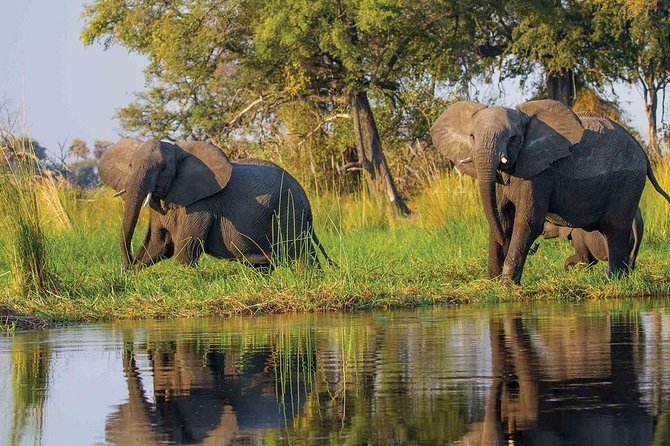 Cape Town, Best Of Big Five Safari Full Day Tour - Itinerary