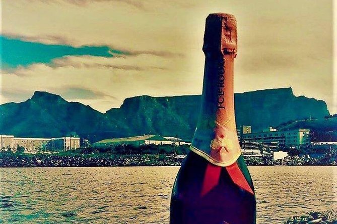 Cape Town Boat Trip - Traveler Photos, Reviews, and Questions