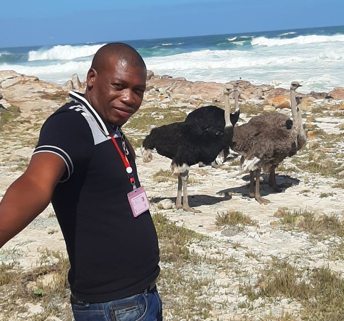 Cape Town: Cape of Good Hope, Penguins and Sightseeing Tour - Good To Know