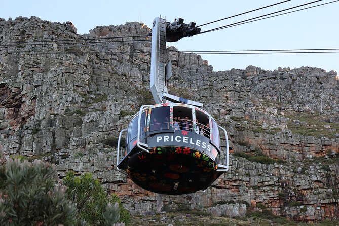 Cape Town: Cape of Good Hope, Table Mountain & Wine Tasting Tour - Overview of the Cape Town Tour