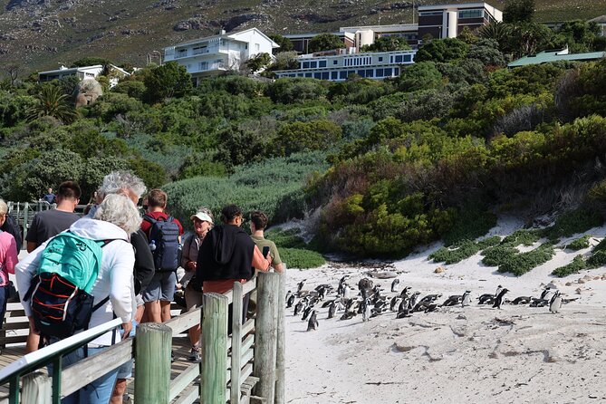 Cape Town: Cape of Good Hope, Table Mountain & Wine Tasting Tour - Cancellation Policy and Refunds
