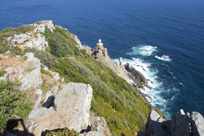 Cape Town: Cape Peninsula Half Day Private Tour - Return to Cape Town