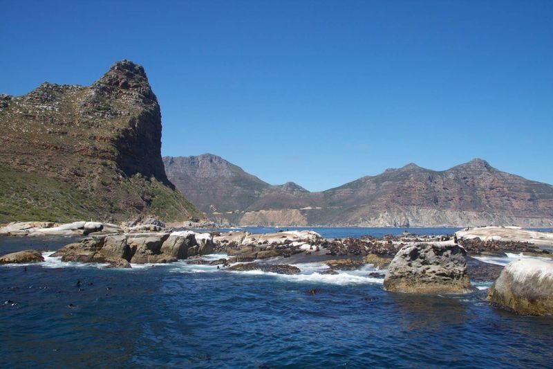 Cape Town Cape Point & Boulders Beach Full-Day Guided Tour - The guide can make a long day feel shorter