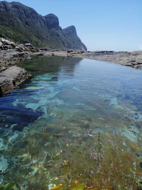 Cape Town: Cape Point Mountain Bike Rental With Route - Experience Description