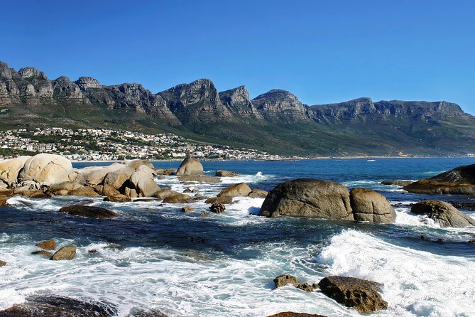 Cape Town City Half Day Tour - Tour Highlights