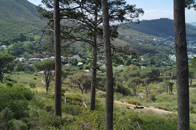 Cape Town City Tour Including Lions Head - Additional Information for Participants