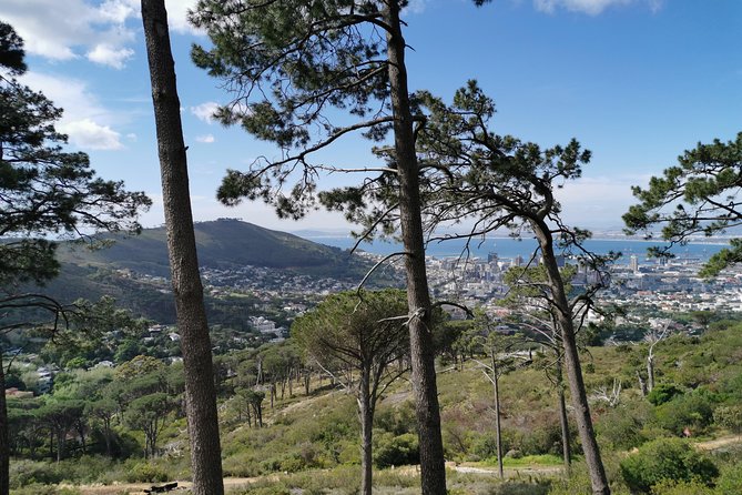 Cape Town City Tour Including Lions Head - Flexible Cancellation Policy