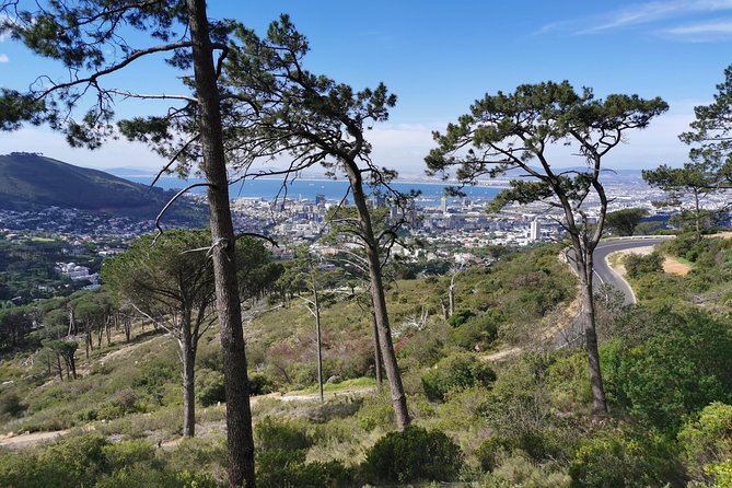 Cape Town City Tour Including Lions Head - Pricing and Customer Reviews