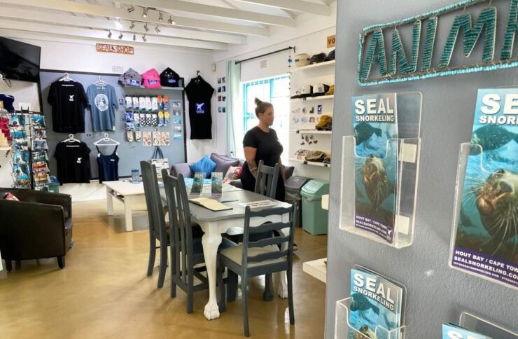 Cape Town: Cruise With Guided Seal Snorkel in Hout Bay - Experience