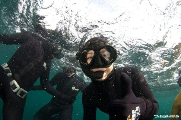 Cape Town: Cruise With Guided Seal Snorkel in Hout Bay - Frequently Asked Questions
